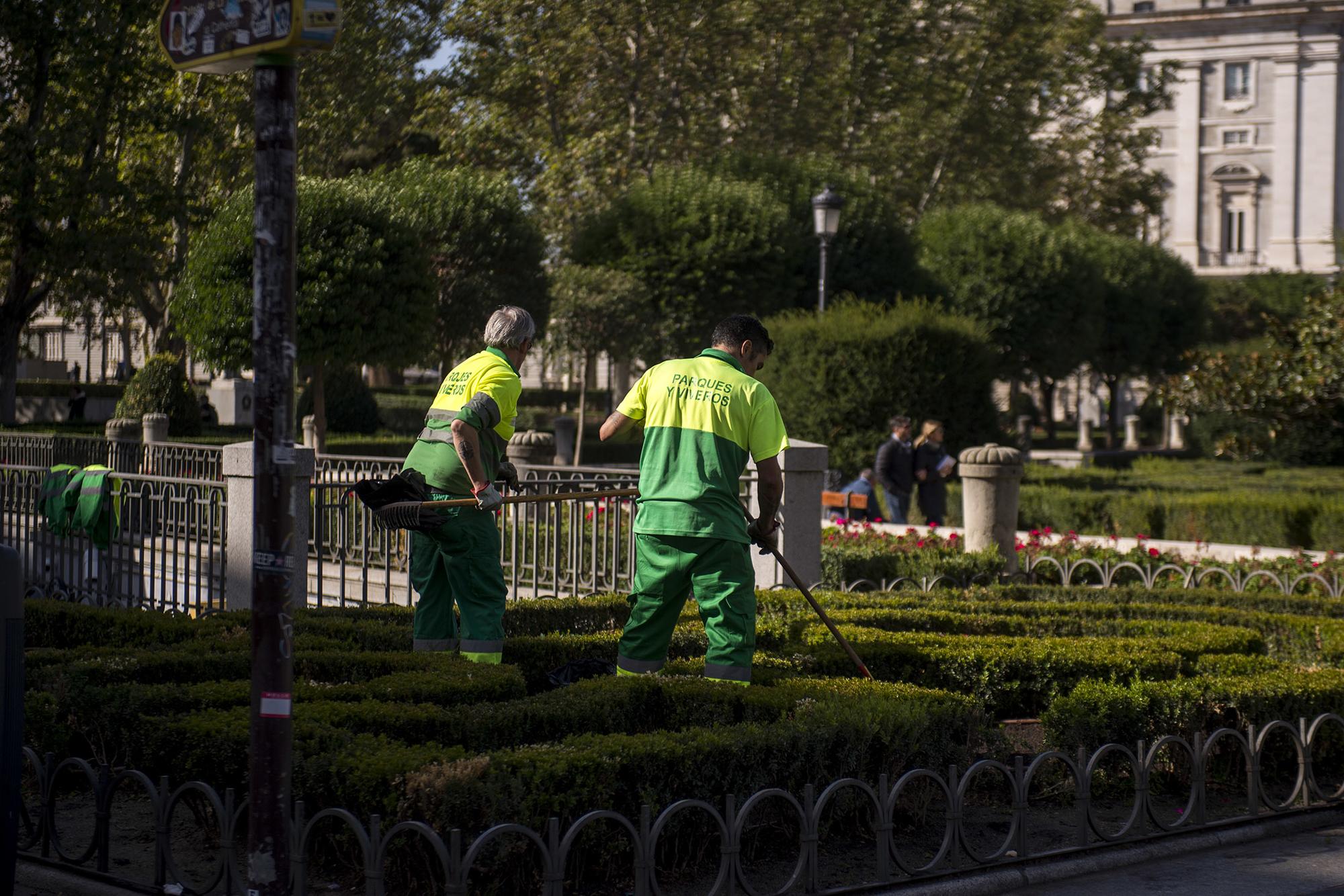 Jardineros frente al Palacio Real en Madrid